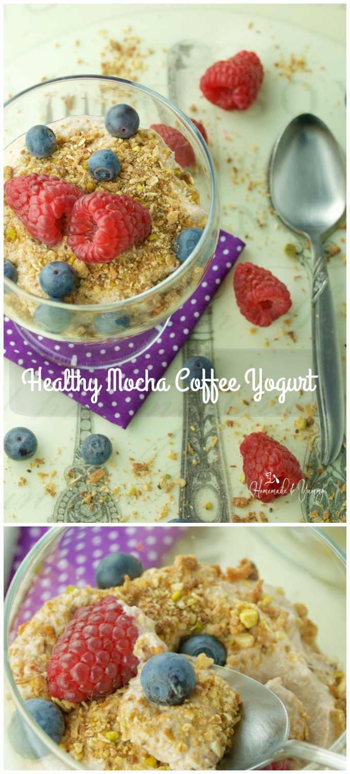 Healthy Mocha Coffee Yogurt Recipe Delicious Anytime Of Day | Homemade