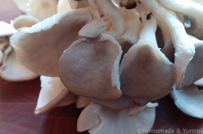Beautiful Oyster Mushrooms go so nice in curry