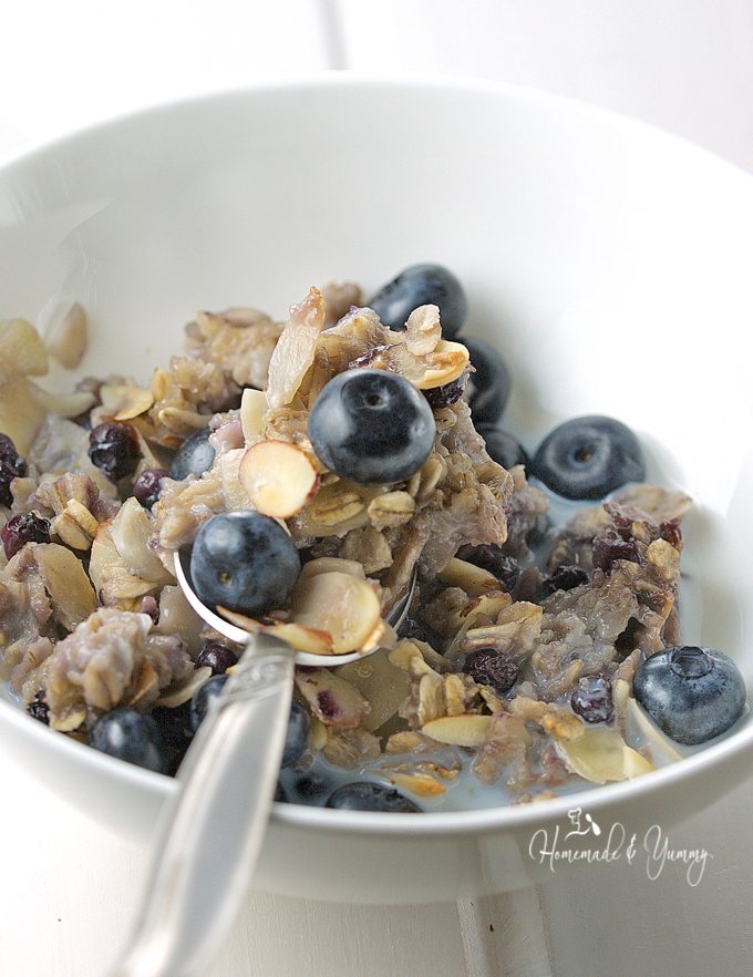A spoon in a bowl of blueberries and oatmeal.