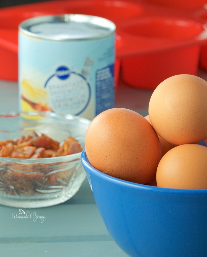 Recipe ingredients, eggs, bacon bits and store bought dough in a can.