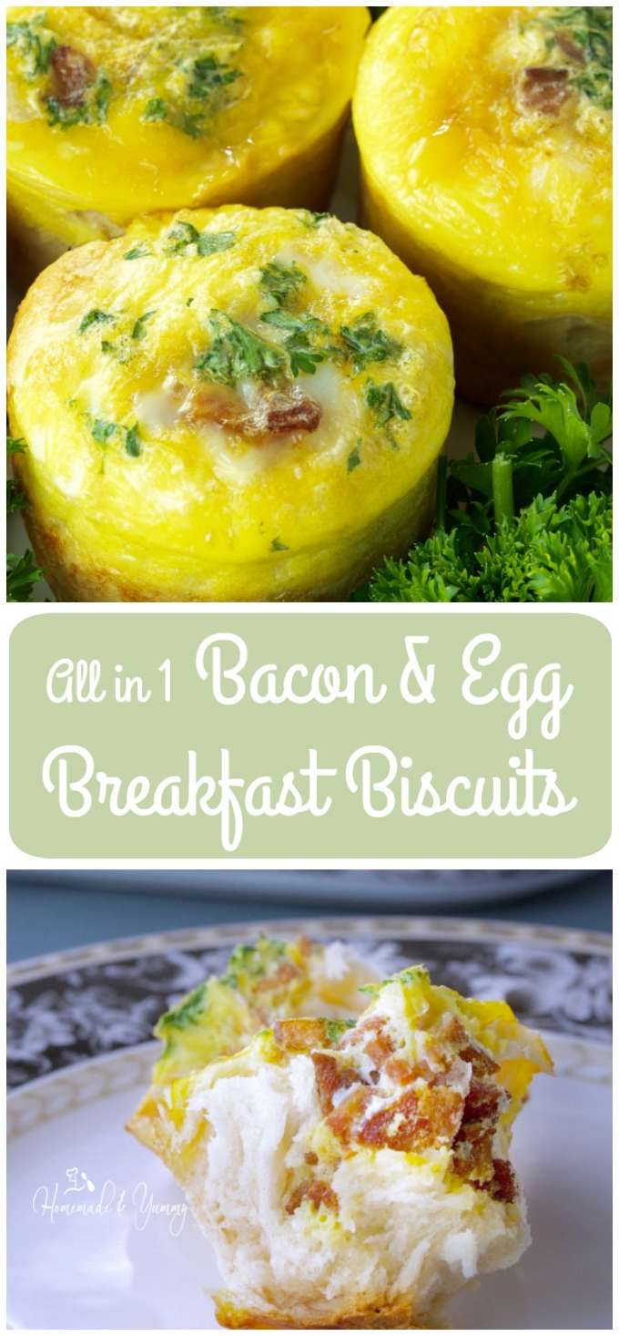 All in 1 Bacon & Egg Breakfast Biscuits long pin image.