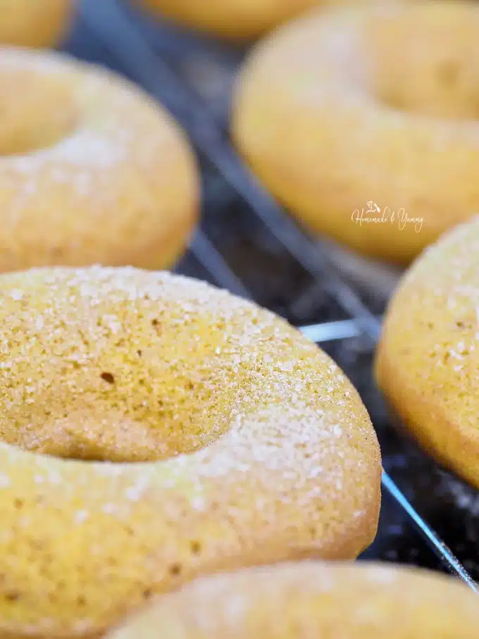 Close up of cinnamon sugar topped Baked Pumpkin Donuts.