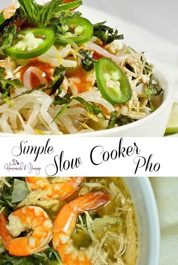 Simple Slow Cooker Pho Pin Image