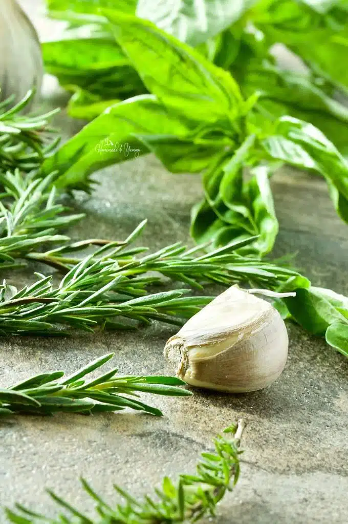 A clove of garlic, fresh rosemary and basil on the counter.