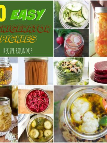30 Easy Refrigerator Pickles Roundup Collage Image