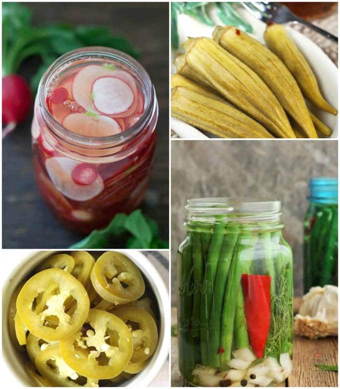 Refrigerator Veggies Pickle Roundup Collage Image