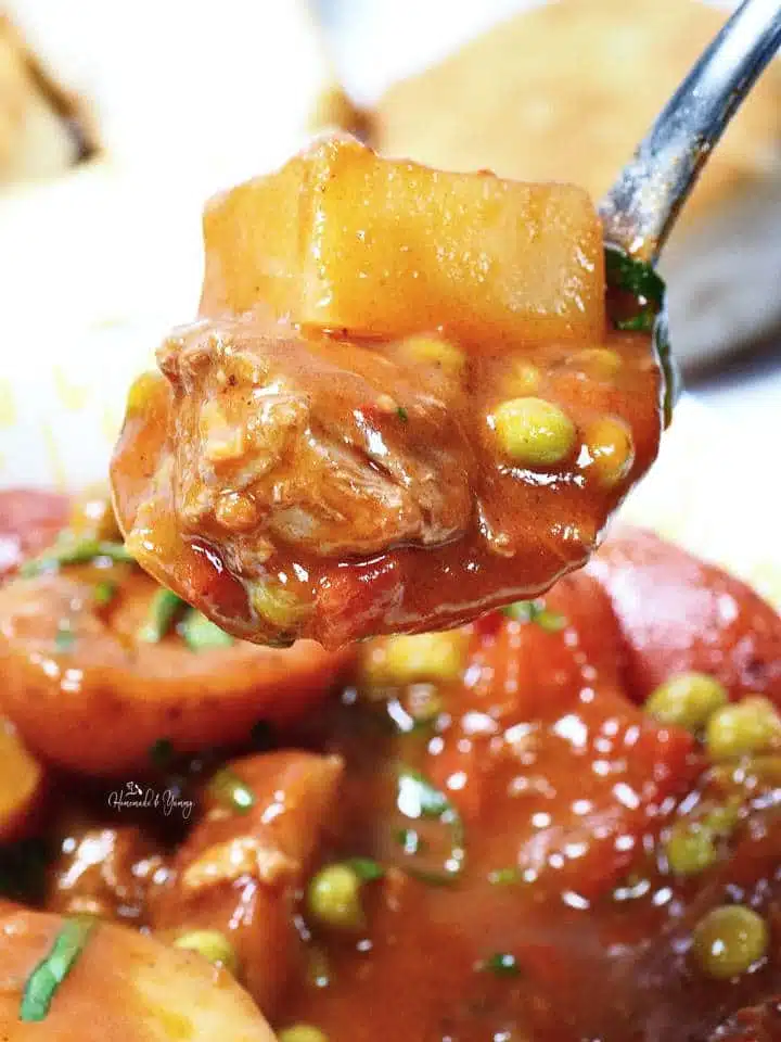 A spoonful of delicious slow braised stew.