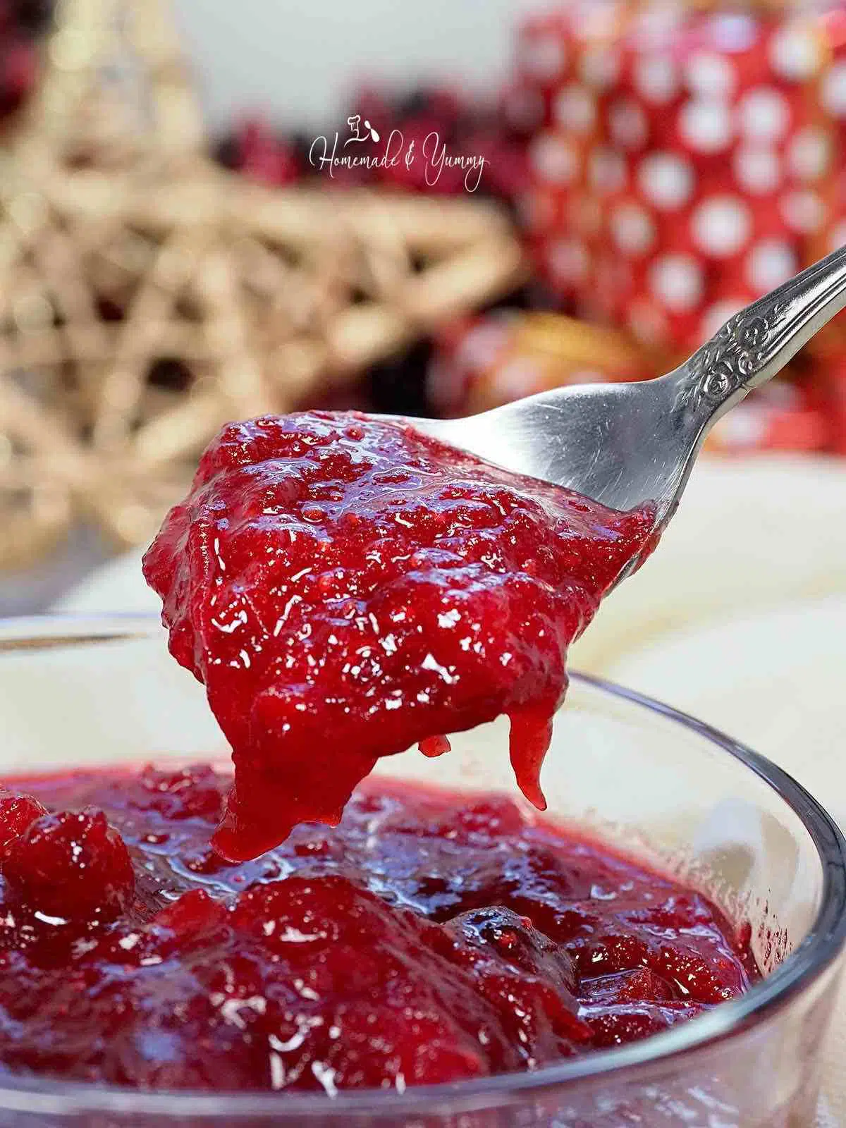 A spoonful of homemade sauce with cranberries.