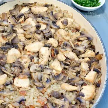 Chicken and mushroom casserole with barley.