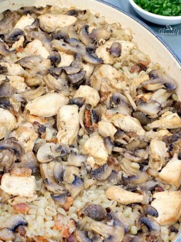 Chicken and mushroom casserole with barley.