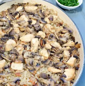 A casserole bake with barley, mushrooms and chicken.