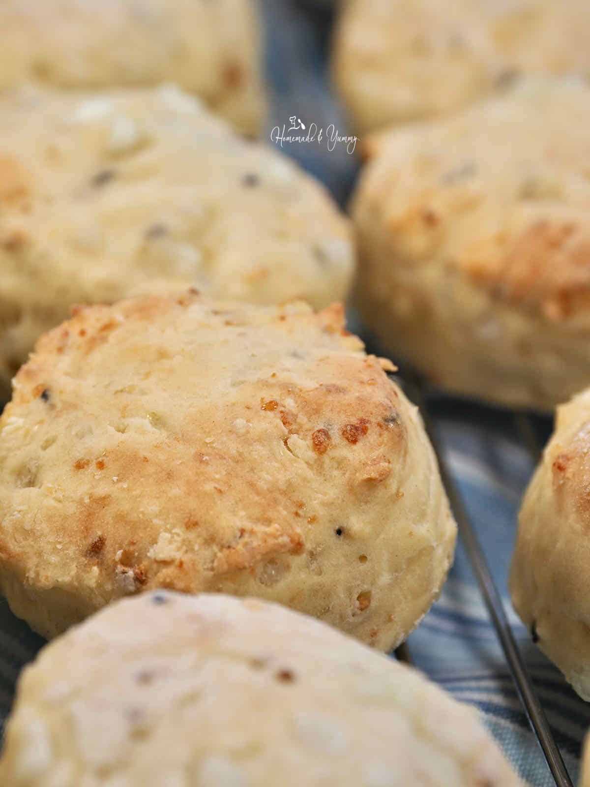 Biscuits made from scratch with cottage cheese.