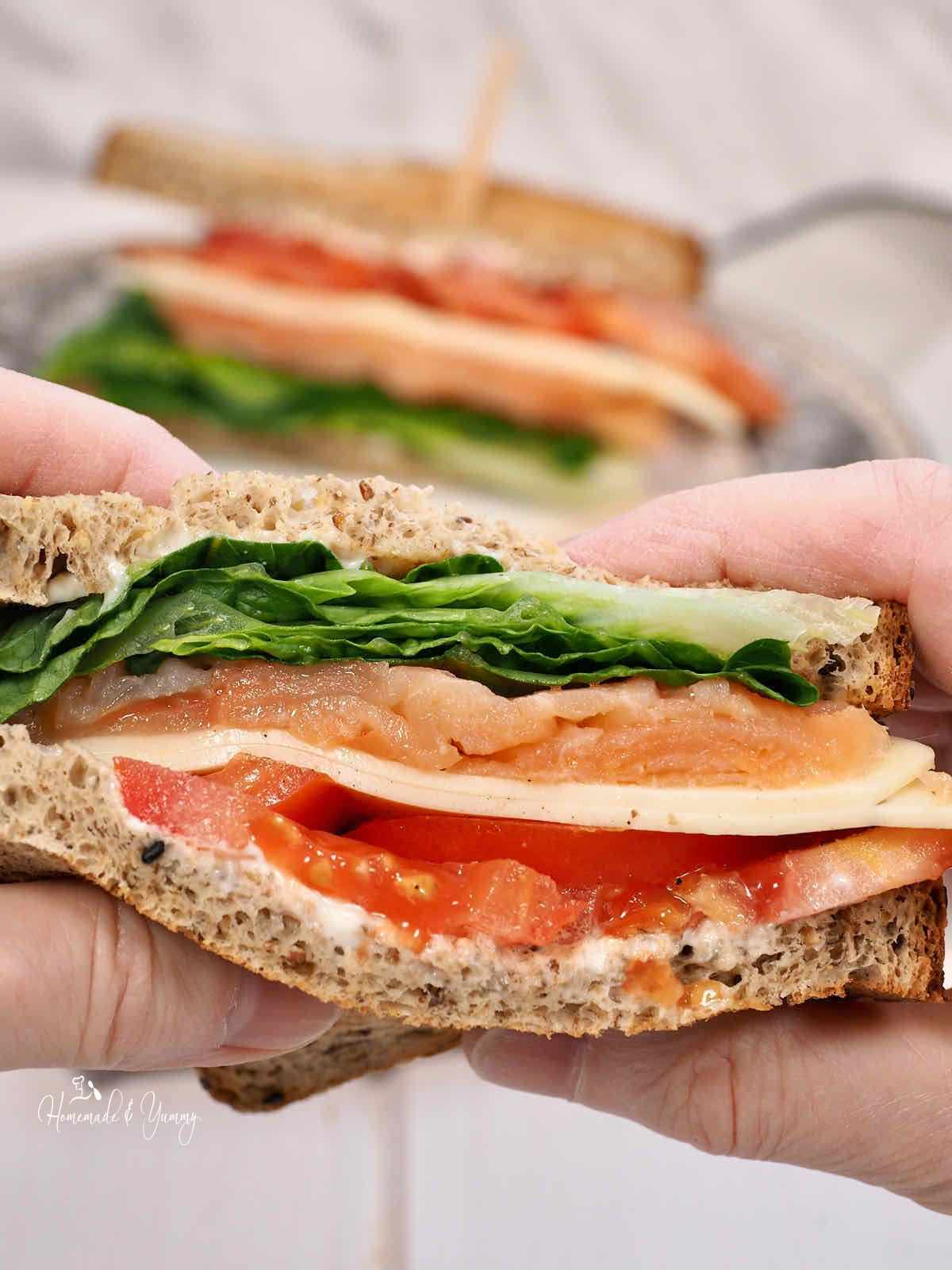 A hand holding a sandwich.