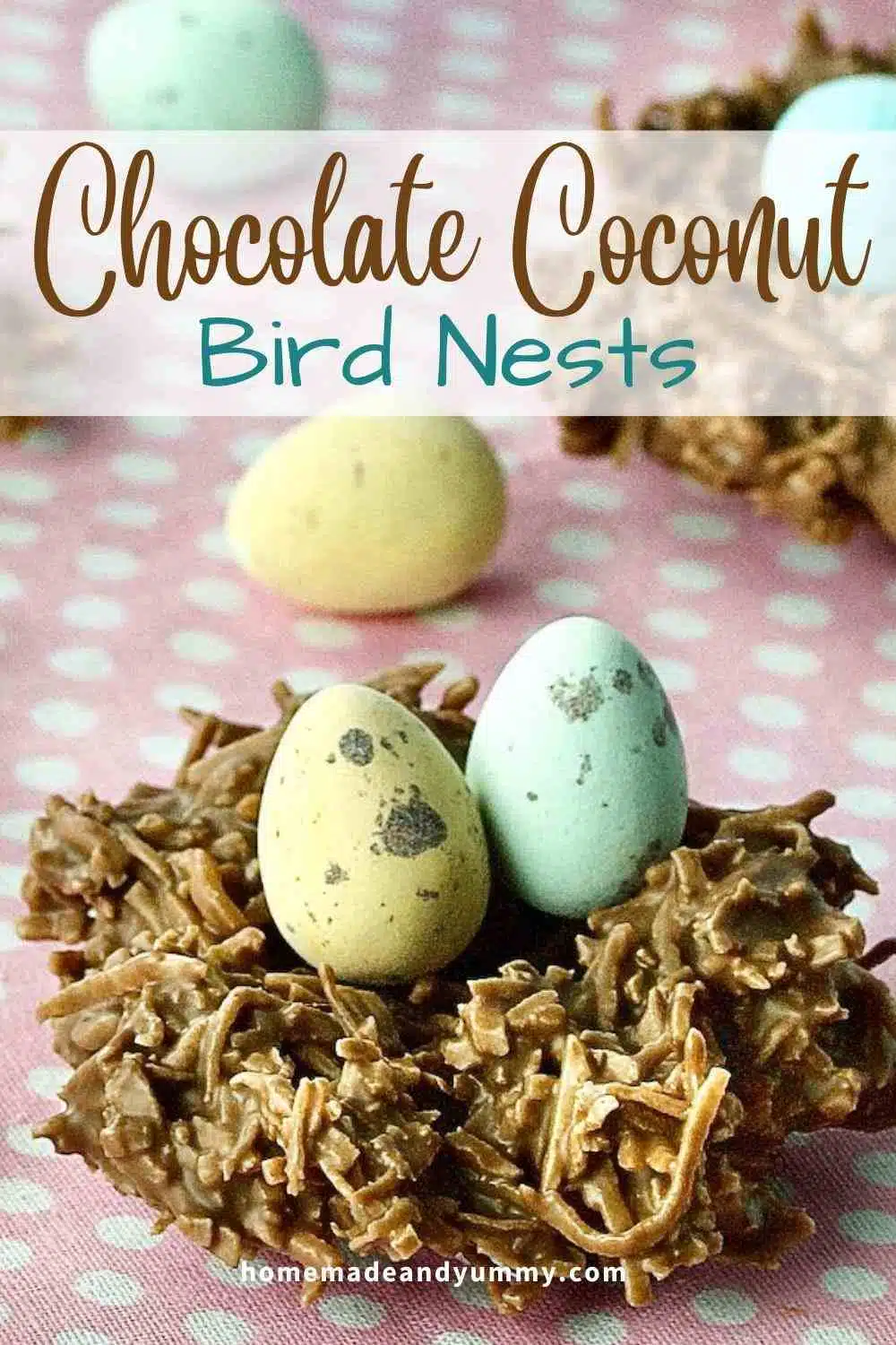 Chocolate Coconut Bird Nests Pin
