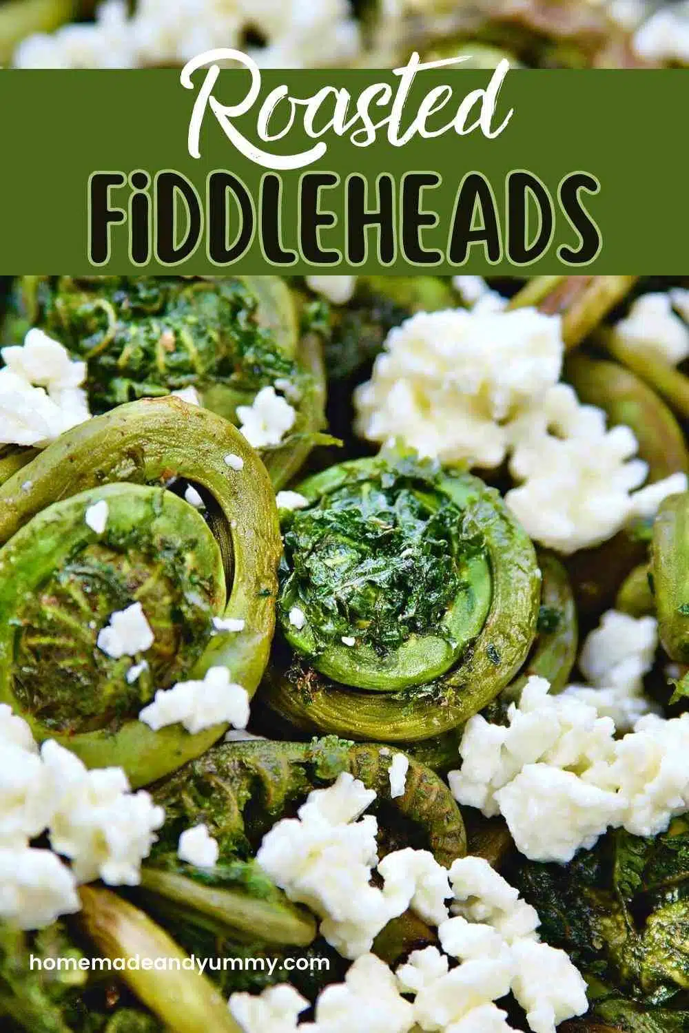 Fiddlehead Recipe Pin
