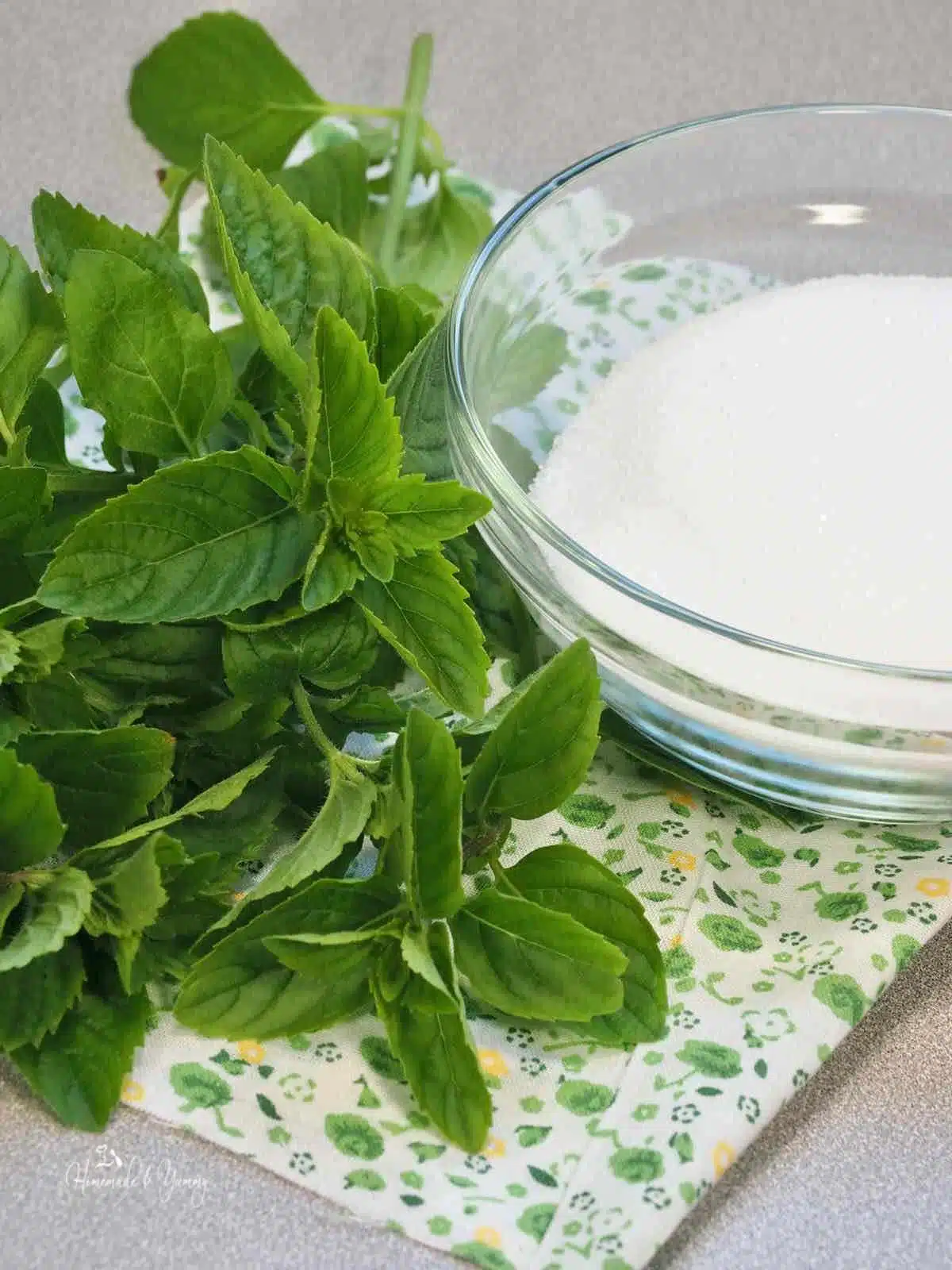 Spearmint leaves and sugar for making syrup.