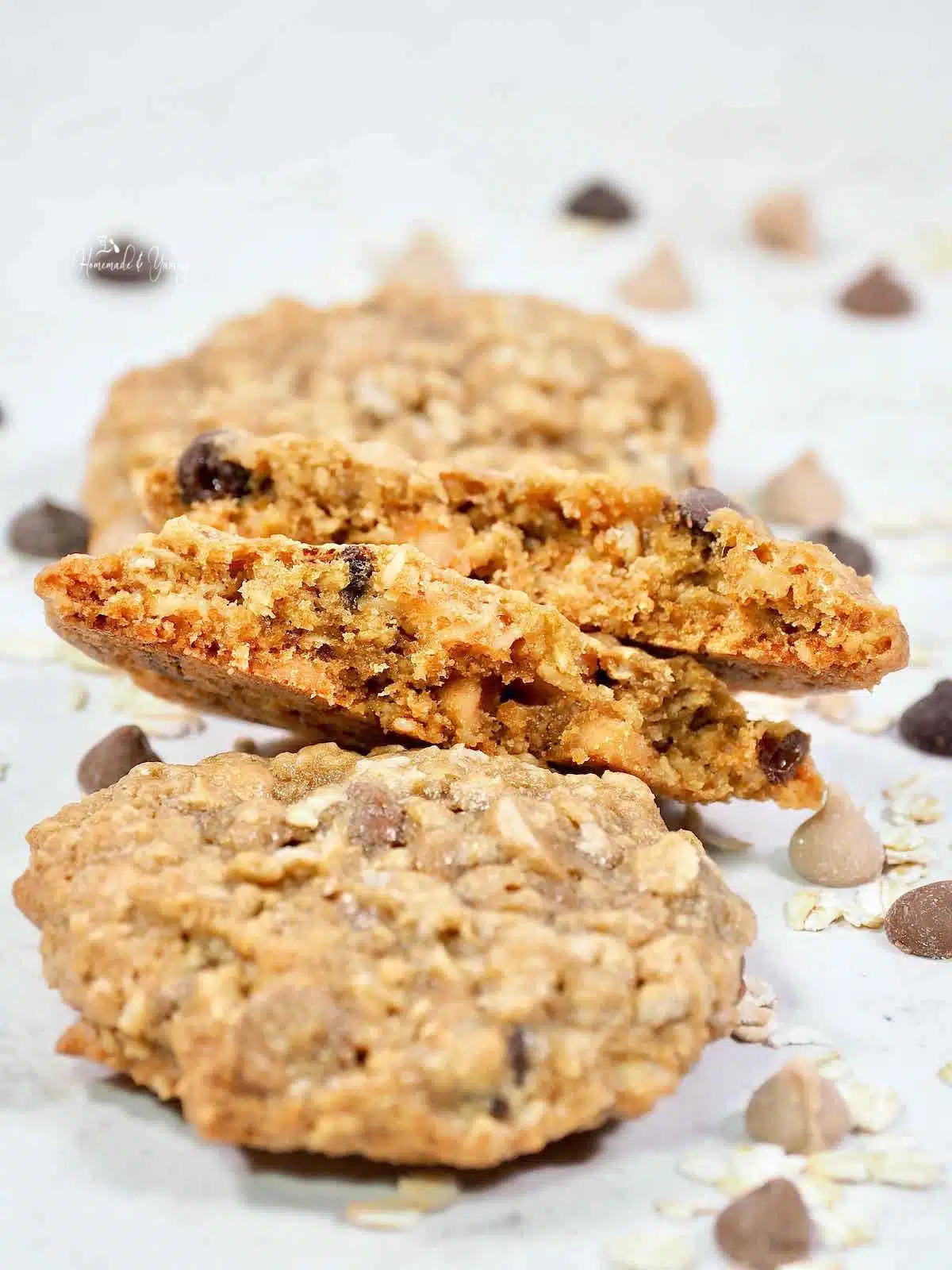 Chewy cookies made with oatmeal and chocolate chips.