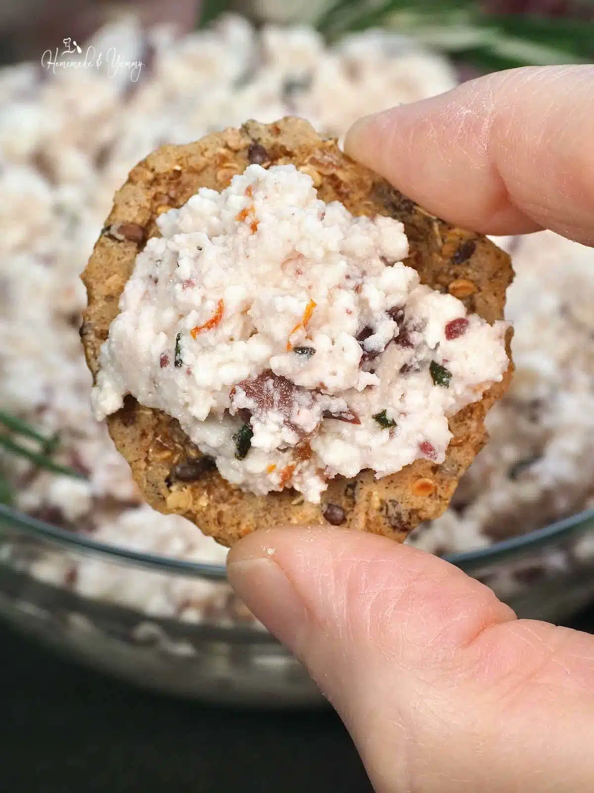 A cracker with ricotta spread.