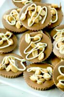 Chocolate peanut butter bites drizzled with white chocolate.