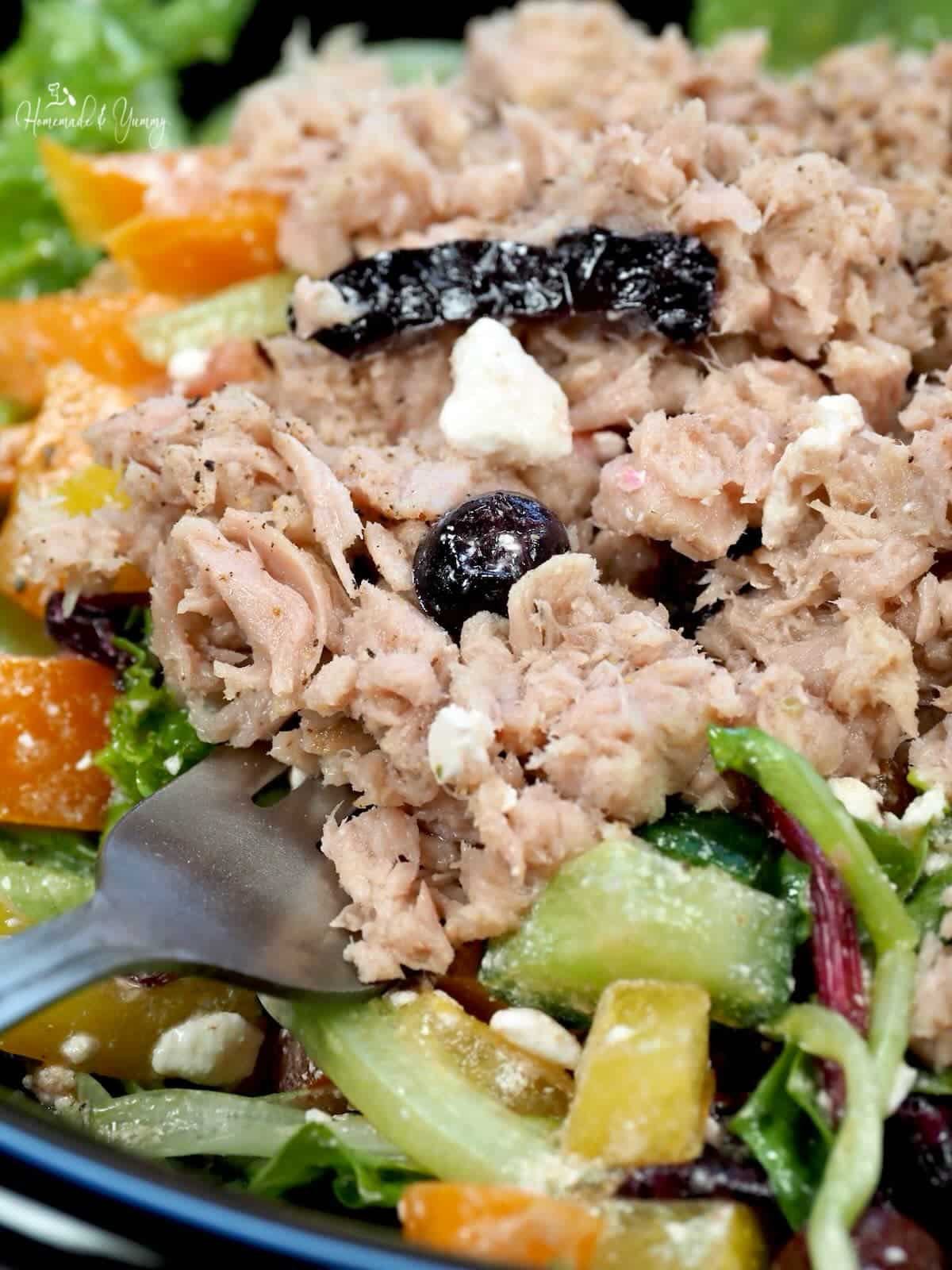 Canned tuna in a green salad.
