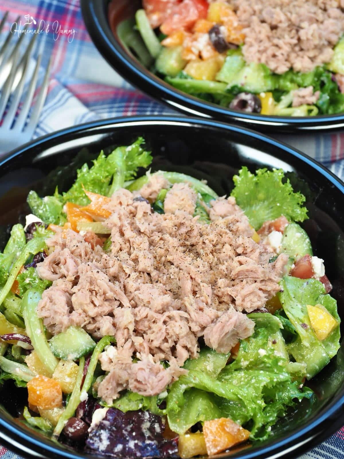 Tuna topped green salad.