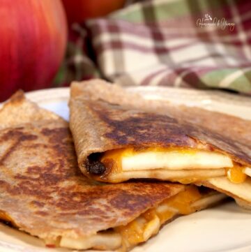 Apple grilled cheese quesadilla with onion jam.
